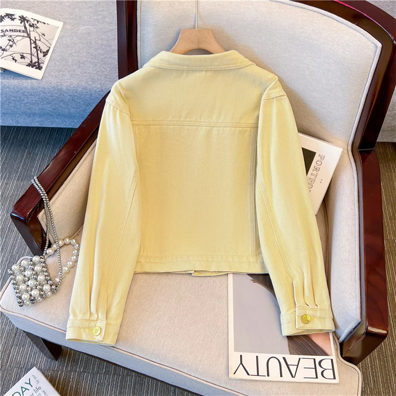 한국 빈티지 꽃 자수 노란색 짧은 데님 재킷 여성 라펠 - Embroidery Yellow Flower 리뷰 및 가격