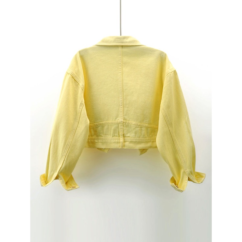 여성용 노란색 자수 꽃무늬 짧은 데님 재킷, 봄과 가을 - Embroidery Yellow Flower 리뷰 및 가격